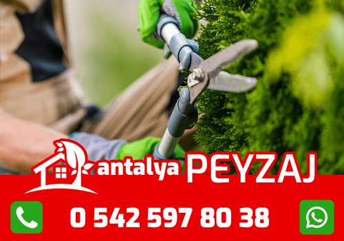 Antalya Bahçe İlaçlama Hizmetleri