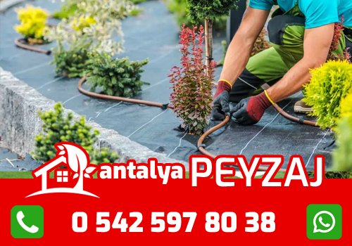 Antalya Çim Hizmetleri