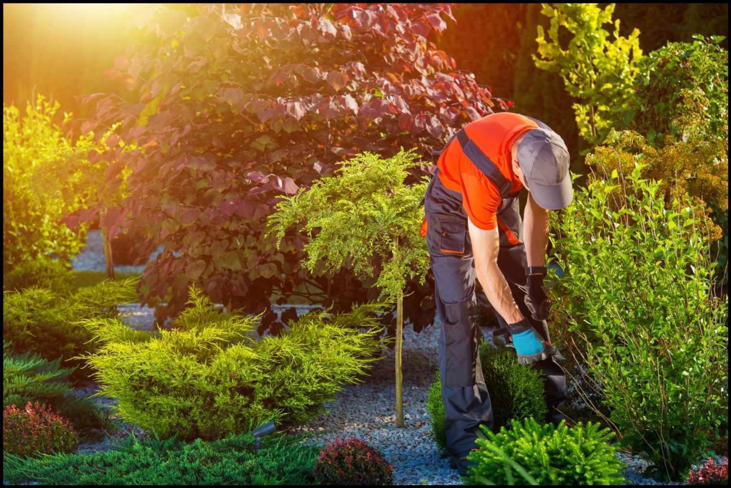 antalya-peyzaj-hizmetleri (2)